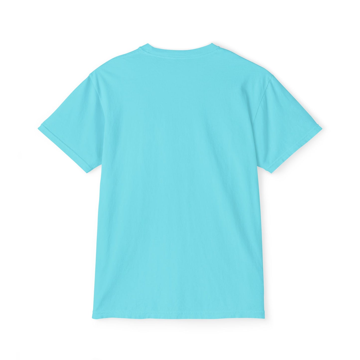 Said An Aquarius Logo Unisex Garment-Dyed Pocket T-Shirt