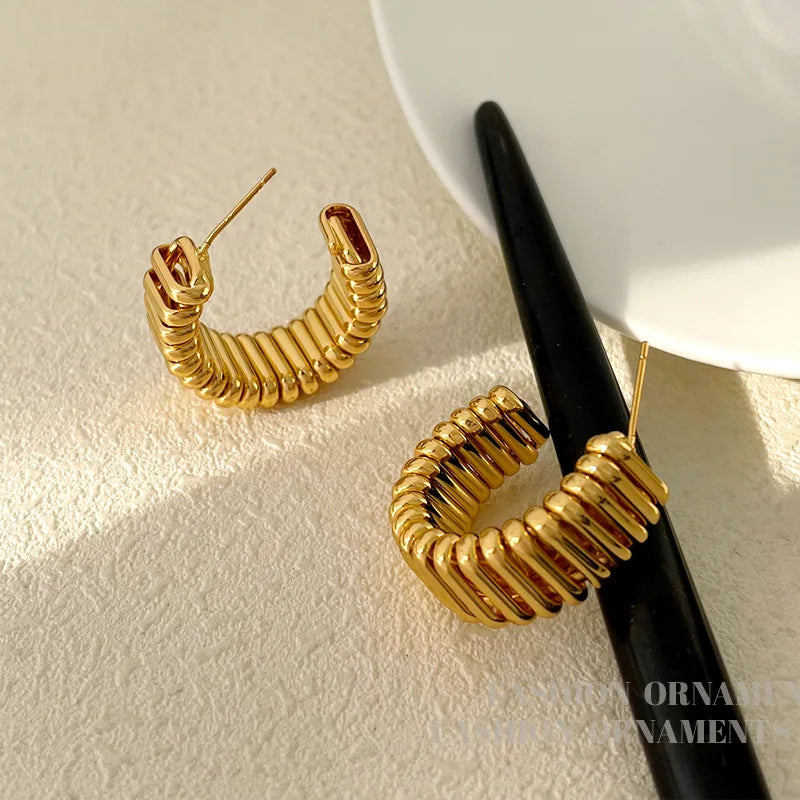 Metal earrings for women with exaggerated 925 silver needle earrings and earrings